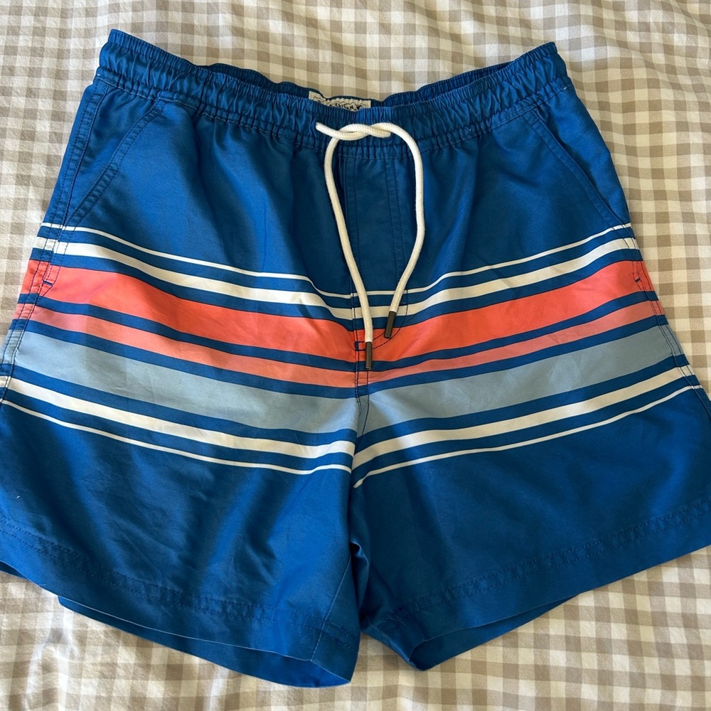 American Eagle Outfitters Blue Swim Trunks with  Stripes